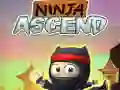 Spel Ninja Uppstigning på nätet