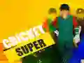 Spel Super Cricket på nätet