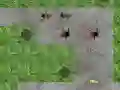 Spel Spindel Tornförsvar pÄ nÀtet Spel Spindel Tornförsvar pÄ nÀtet