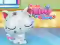 Spel Söt Kattvård på nätet Spel Söt Kattvård på nätet