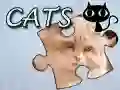 Spel Pussel: Katter på nätet