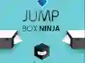 Spel Hoppa Låda Ninja på nätet