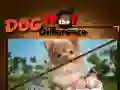 Spel Hund Hitta Skillnaderna pÄ nÀtet Spel Hund Hitta Skillnaderna pÄ nÀtet