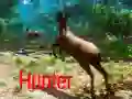 Spel Jägare på nätet Spel Jägare på nätet