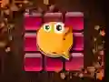 Spel Färgutmaning på nätet Spel Färgutmaning på nätet