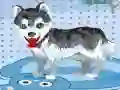 Spel Min söta hund badar på nätet Spel Min söta hund badar på nätet