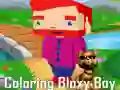 Spel Färgläggning av Bloxy Pojken på nätet Spel Färgläggning av Bloxy Pojken på nätet