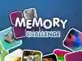 Spel Minnesutmaning på nätet