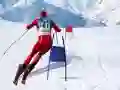 Spel Slalom Skisimulator på nätet