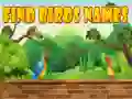 Spel Hitta fågnamn på nätet Spel Hitta fågnamn på nätet