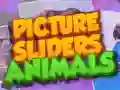 Spel Bild Glidare Djur pÄ nÀtet Spel Bild Glidare Djur pÄ nÀtet