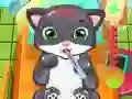 Spel Katt Doktor pÄ nÀtet Spel Katt Doktor pÄ nÀtet