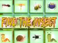 Spel Hitta Insektet på nätet