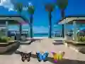 Spel Hitta 100 fjärilar på nätet Spel Hitta 100 fjärilar på nätet