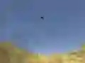 Spel Tukan Skytt på nätet