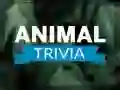 Spel Djur Trivia på nätet