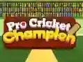 Spel Pro Cricket Mästar på nätet