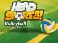 Spel Head Sports Volleyboll på nätet