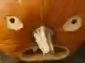 Spel 5 i 1 Bild Pussel: Halloween pÄ nÀtet Spel 5 i 1 Bild Pussel: Halloween pÄ nÀtet
