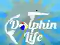 Spel Delfinliv på nätet