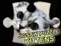 Spel Pussel Kattungar pÄ nÀtet Spel Pussel Kattungar pÄ nÀtet