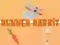 Spel Springande Kanin pÄ nÀtet Spel Springande Kanin pÄ nÀtet