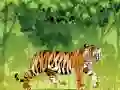 Spel Arg Tiger Färgning på nätet