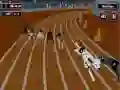 Spel Galna Hund Racing Feber på nätet