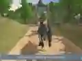 Spel Jungle Dino Lastbils Transportör 2020 på nätet Spel Jungle Dino Lastbils Transportör 2020 på nätet