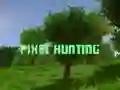 Spel Pixeljakt pÄ nÀtet Spel Pixeljakt pÄ nÀtet