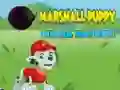 Spel Marshall Valp Ninja Patrull pÄ nÀtet Spel Marshall Valp Ninja Patrull pÄ nÀtet