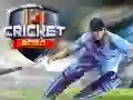 Spel Cricket 2020 pÄ nÀtet Spel Cricket 2020 pÄ nÀtet