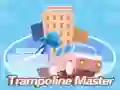 Spel Trampolinmästare på nätet Spel Trampolinmästare på nätet