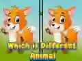 Spel Vilket djur är annorlunda på nätet