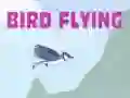 Spel Fågelflygning på nätet Spel Fågelflygning på nätet
