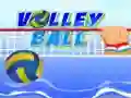 Spel Volleyboll pÄ nÀtet Spel Volleyboll pÄ nÀtet