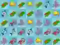 Spel Havvärldens Samling på nätet Spel Havvärldens Samling på nätet