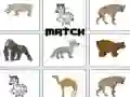 Spel Match på nätet