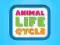 Spel Djurens livscykel pÄ nÀtet Spel Djurens livscykel pÄ nÀtet