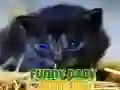 Spel Roliga Baby Djur pÄ nÀtet Spel Roliga Baby Djur pÄ nÀtet