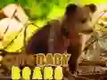 Spel Söta Små Björnar på nätet Spel Söta Små Björnar på nätet