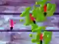 Spel Krossa Myror pÄ nÀtet Spel Krossa Myror pÄ nÀtet