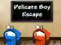 Spel Delikat Pojke Rymning pÄ nÀtet Spel Delikat Pojke Rymning pÄ nÀtet