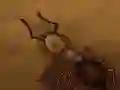 Spel Rädda smulorna på nätet Spel Rädda smulorna på nätet