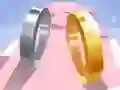 Spel Kärleksring 3D på nätet Spel Kärleksring 3D på nätet