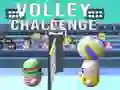 Spel Volleyutmaning pÄ nÀtet Spel Volleyutmaning pÄ nÀtet