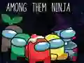 Spel Bland Dem Ninja pÄ nÀtet Spel Bland Dem Ninja pÄ nÀtet