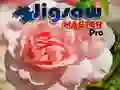 Spel Pusselmästare Pro på nätet Spel Pusselmästare Pro på nätet