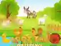 Spel Hitta skillnaden på nätet