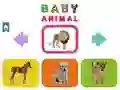 Spel Baby Djur pÄ nÀtet Spel Baby Djur pÄ nÀtet